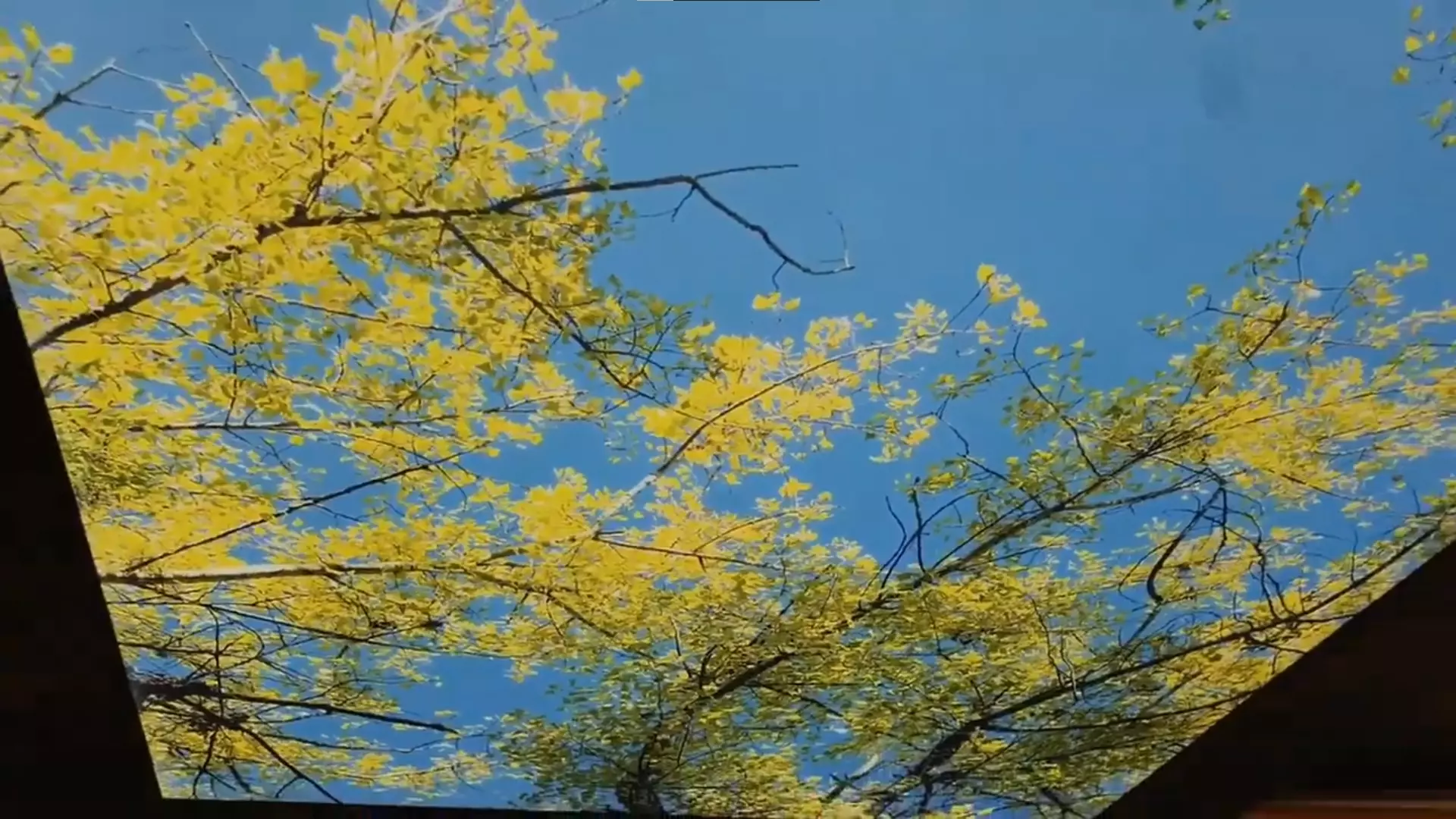 Архангельск, Фёдора Абрамова, 9, фото 2