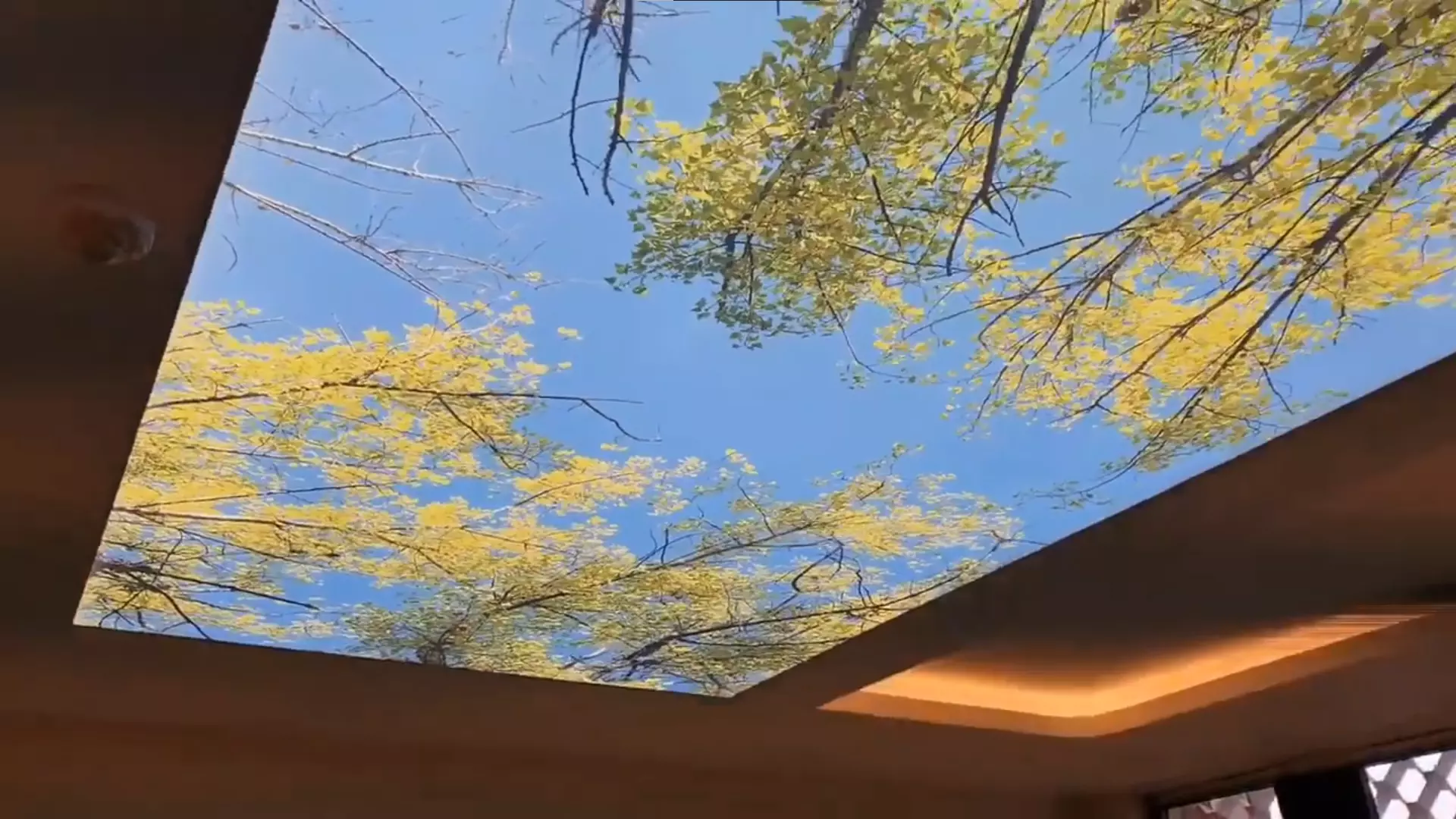 Архангельск, Фёдора Абрамова, 9, фото 3